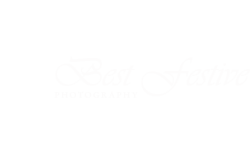 BestFestivePhotography